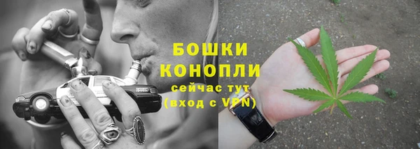 винт Верея