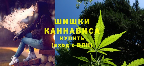 винт Верея