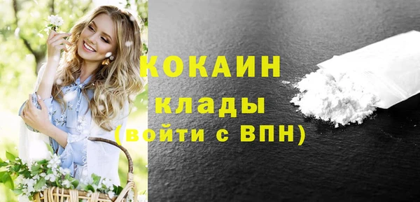 винт Верея