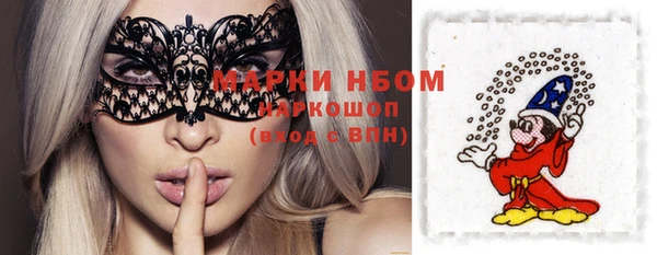 гашик Бронницы