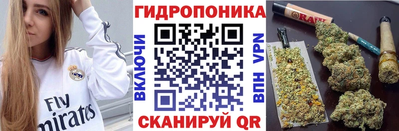 где найти наркотики  Кириллов  Каннабис LSD WEED 